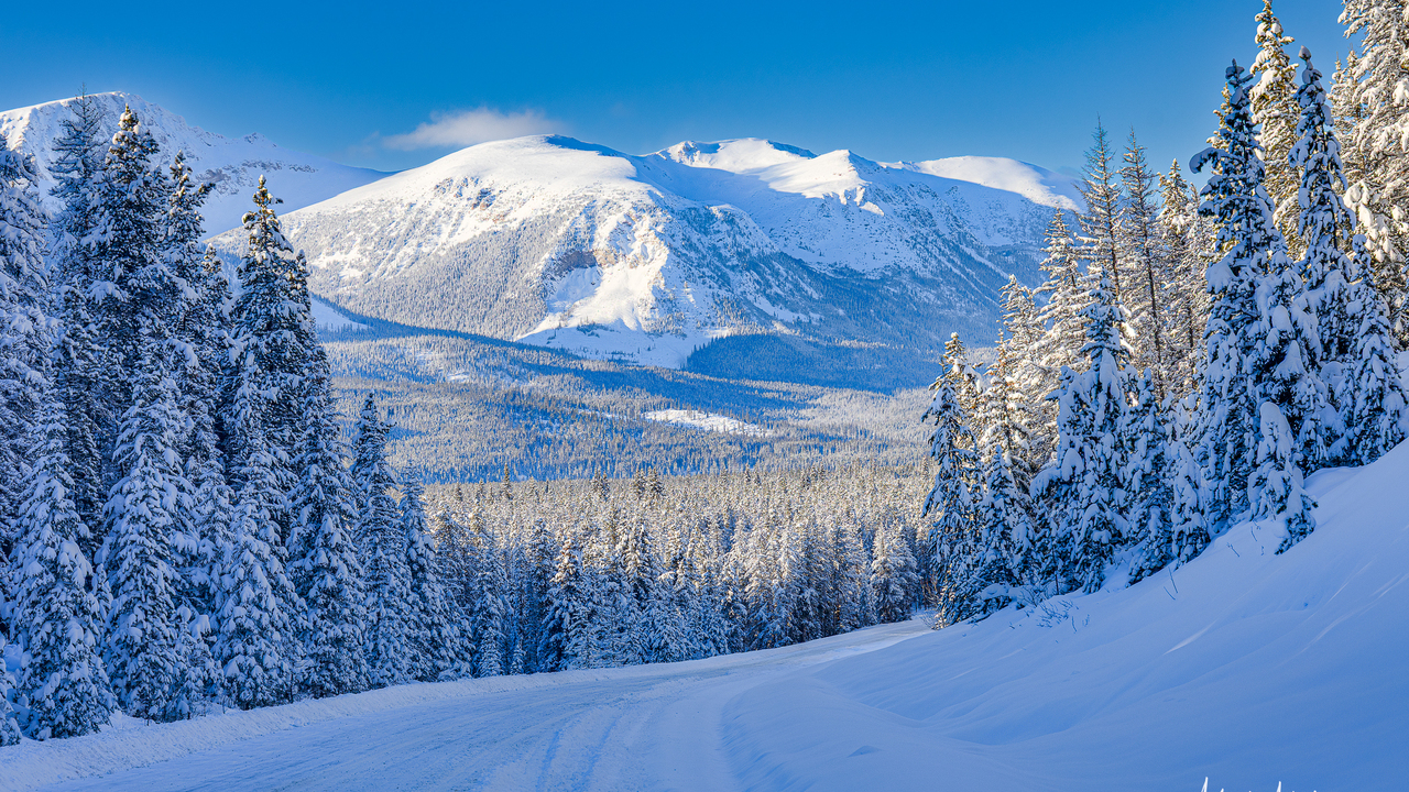 Maligne Lake winter scene