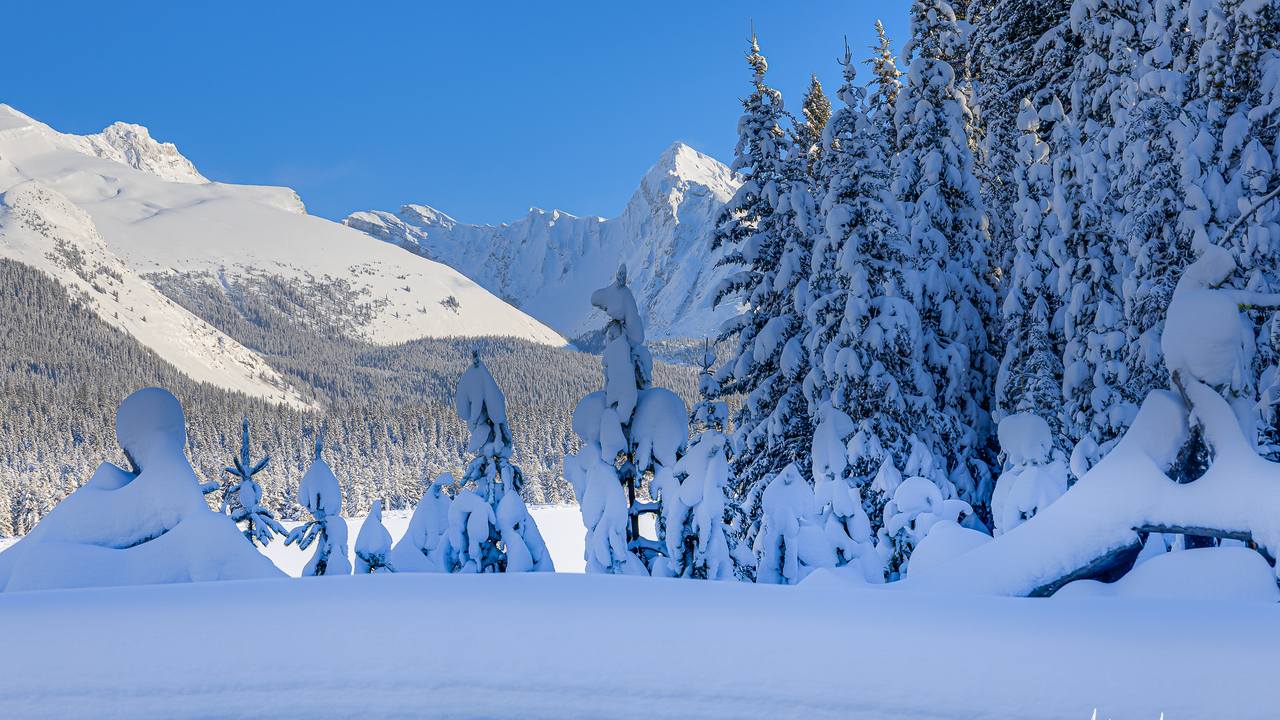 Maligne Lake winter scene