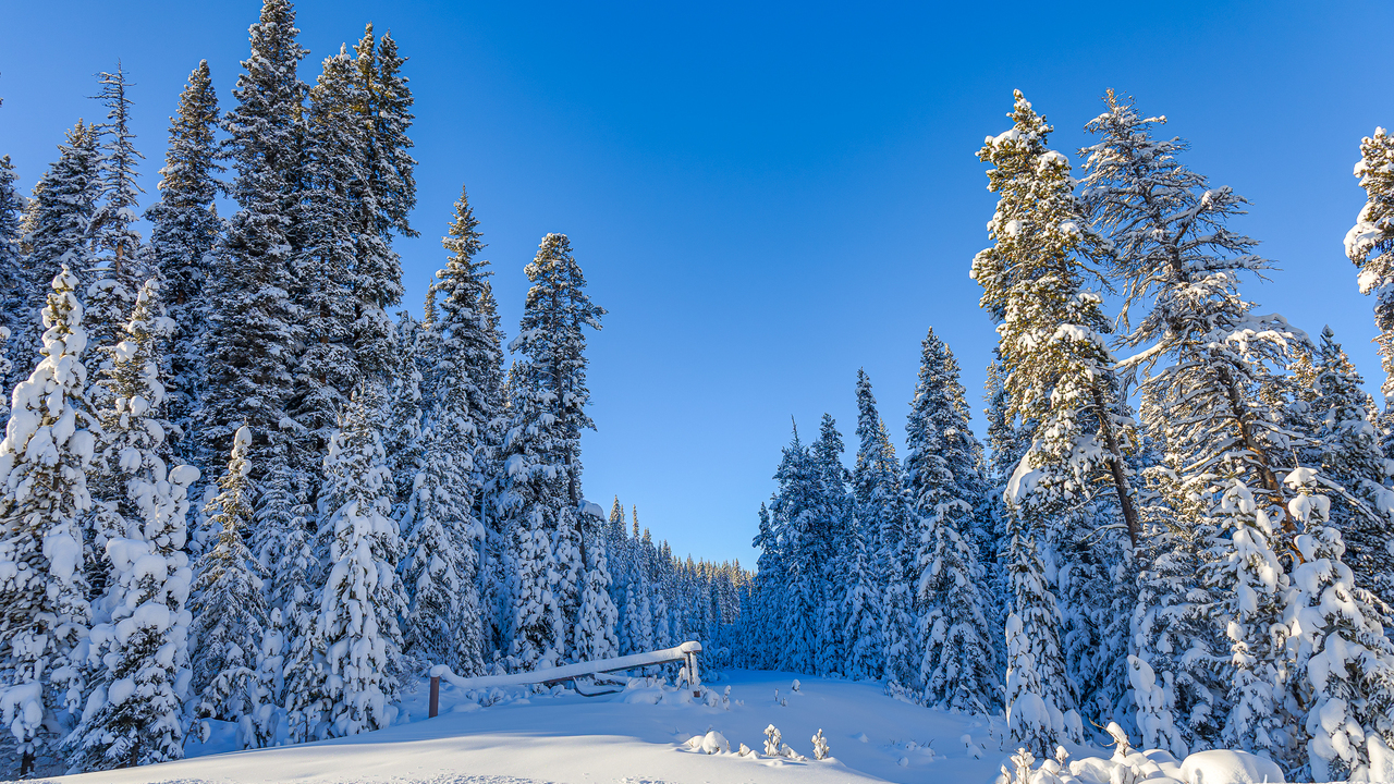 Maligne Lake winter scene