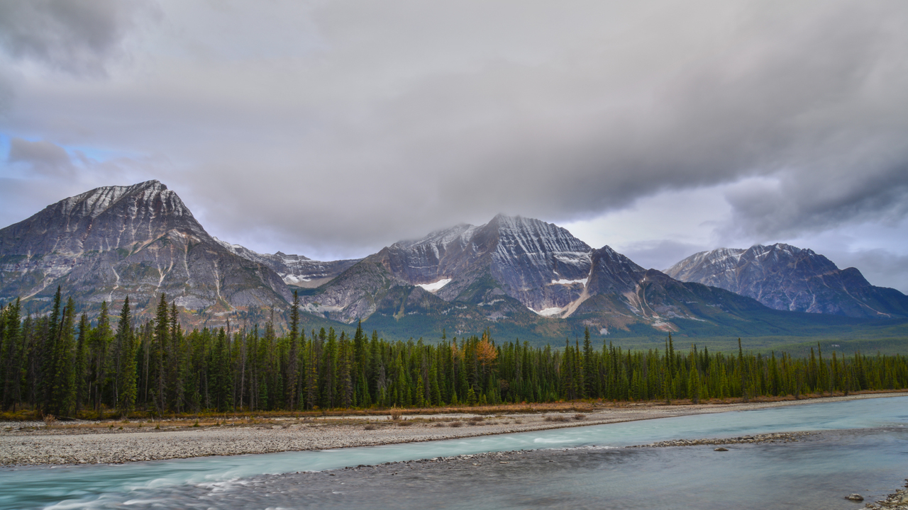 Along the Athabasca 