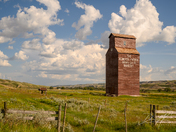Dorothy Alberta - Ghost Town