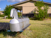 Dorothy Alberta - Ghost Town