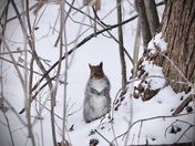 Looking A Bit Forlorn