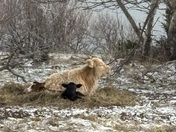 Calm After the Storm