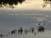 Darkness coming soon