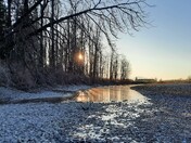Fraser River, Chilliwack 