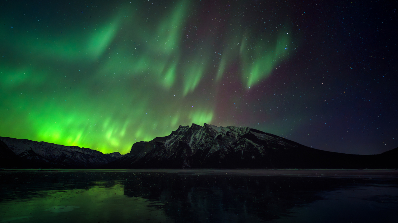 Under a Living Aurora