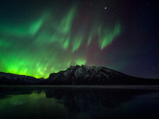 Under a Living Aurora