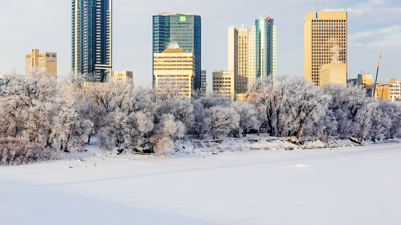 Frosty Winnipeg 