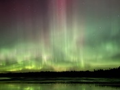 Aroras in Tofino Vancouver island