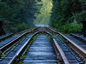 The Way Less Travelled 