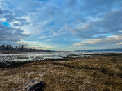 East side in the west