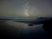 The milkyway with bioluminescent waves