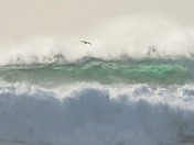 Big waves on the shores of Ucluelet BC