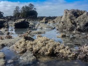 The ocean comes to life