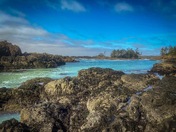 The ocean comes to life