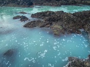 The ocean comes to life