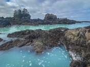 The ocean comes to life