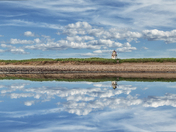 Covehead morning mirror image 
