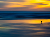 A Walk on the Wild Side