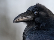 There's More Than Meets the Eye