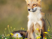 WHAT ARE YOU LOOKEN AT!!! 