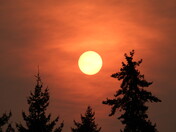 Mount underwood fire