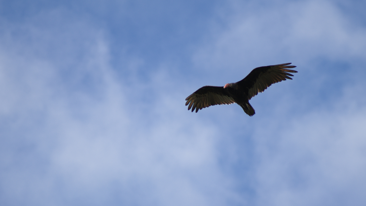 La mort porte le vide