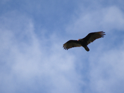 La mort porte le vide