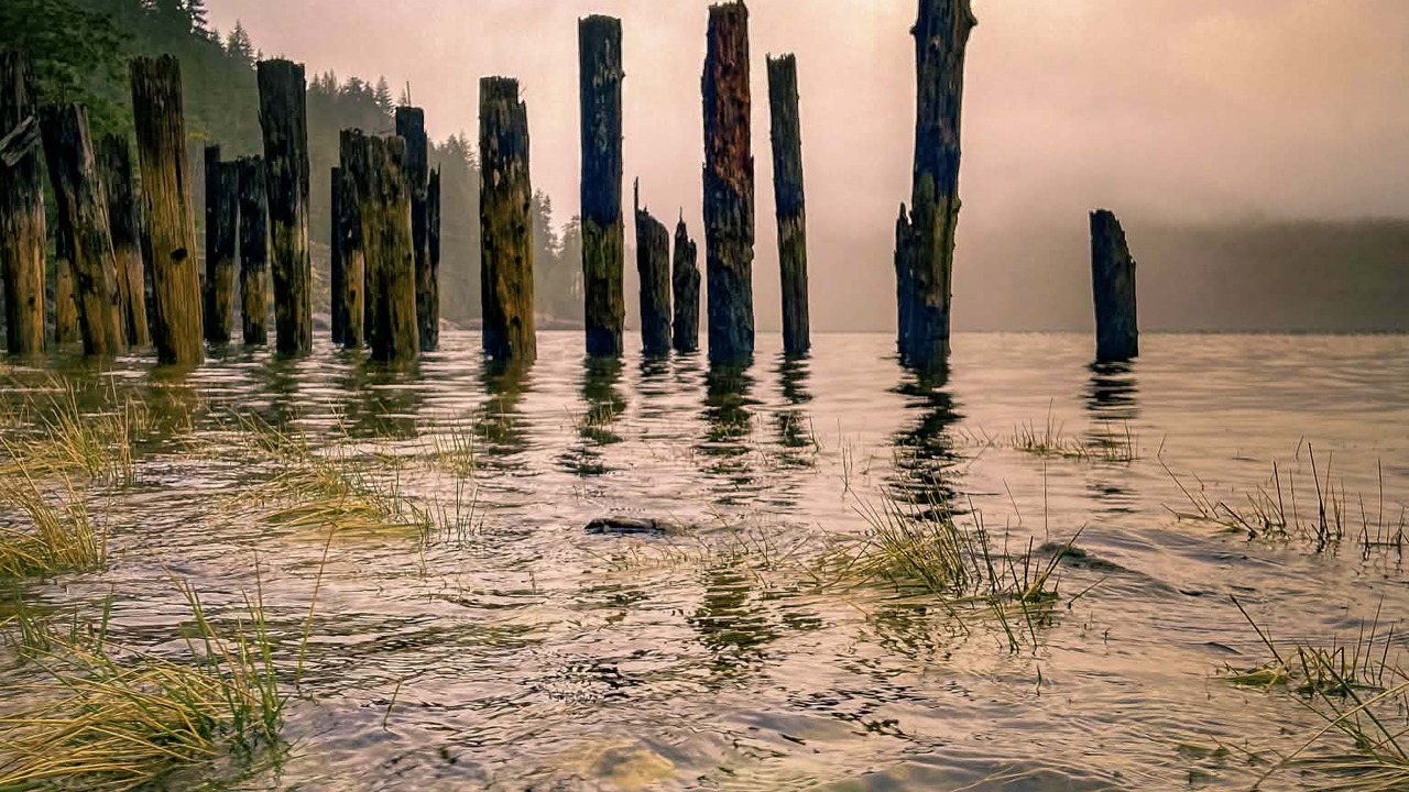 Old pair logs on the Alberni inlet 