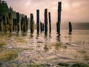 Old pair logs on the Alberni inlet 