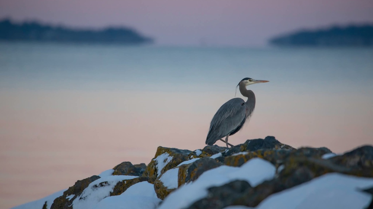 Sunset and mountain tops