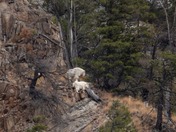 Interior farm landscapes