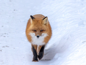 Here's looking at you!  