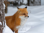 Here's looking at you!  