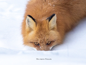 Here's looking at you!  