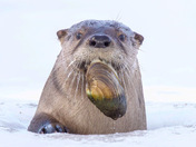 You’re very spe-shell!! 