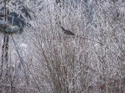 Winter Isn't Done Yet