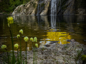 Vancouver island landscape