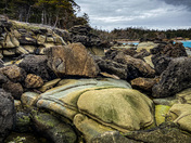 Vancouver island landscape