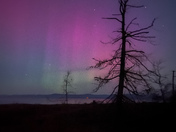 Vancouver island landscape