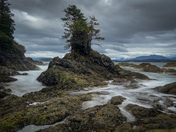 Vancouver island landscape
