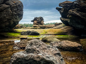 Vancouver island landscape