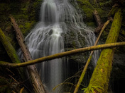 Vancouver island landscape