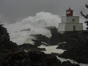 Vancouver island landscape
