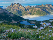 Vancouver island landscape