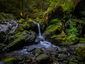 Vancouver island landscape