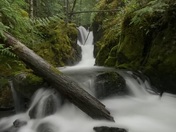 Vancouver island landscape