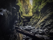 Vancouver island landscape