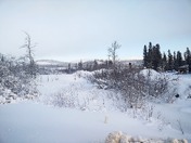 Winter in Whitehorse